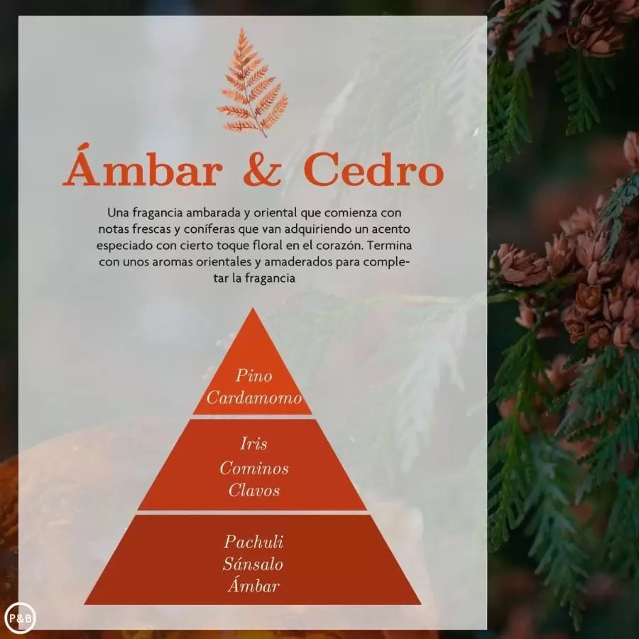 Parfum d'ambiance pour la voiture Ámbar & Cedro - Ambar -